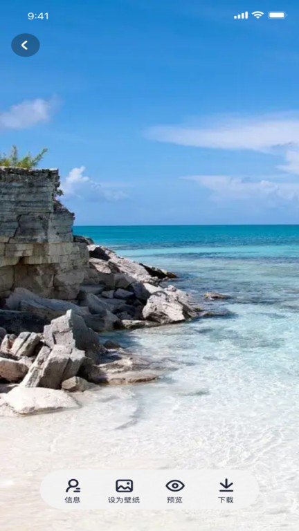 咪兔壁纸官方免费版