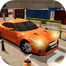 停车挑战游戏 v1.0
