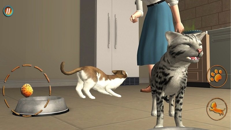 猫咪想恋爱游戏