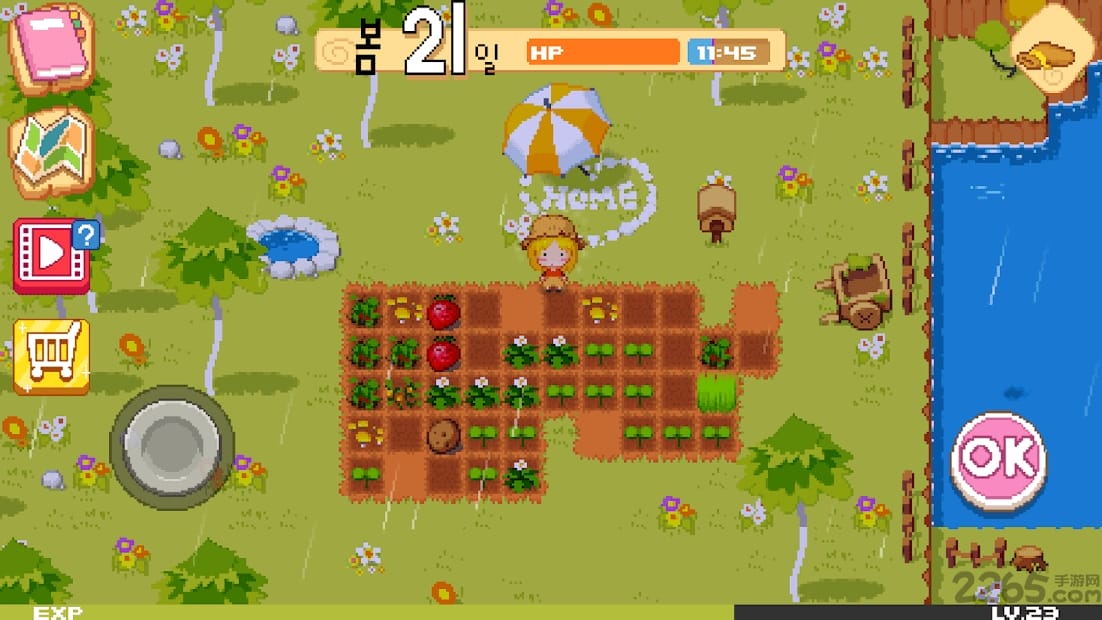 农场m公主的农场经营时光汉化版