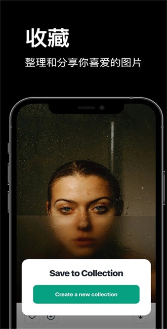 pexels素材中文版