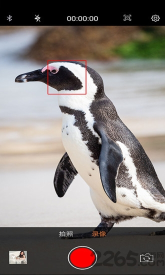 爱随拍官方版 爱随拍app下载安装