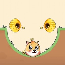 快点躲起来帮助狗狗游戏