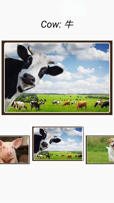 动物和声音软件