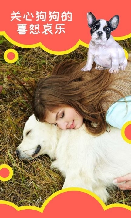 狗狗助手翻译神器软件
