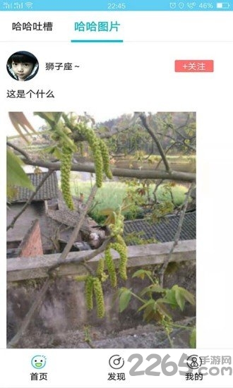 哈哈哈神吐槽app