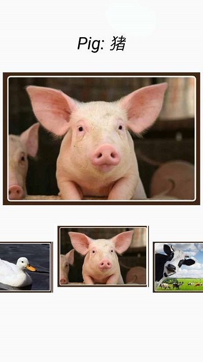 动物和声音软件