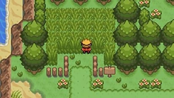 口袋妖怪赭色汉化版