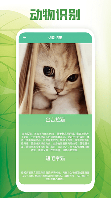 花卉伴侣手机软件