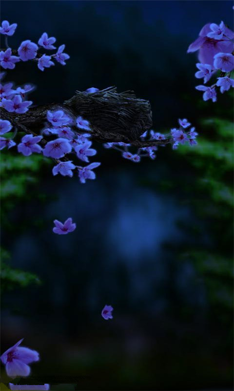 小米主题风格app