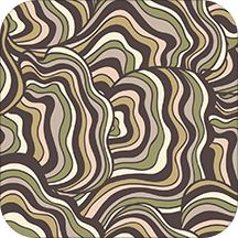 cloudo棵朵app下载-官方版下载安卓版v6.47