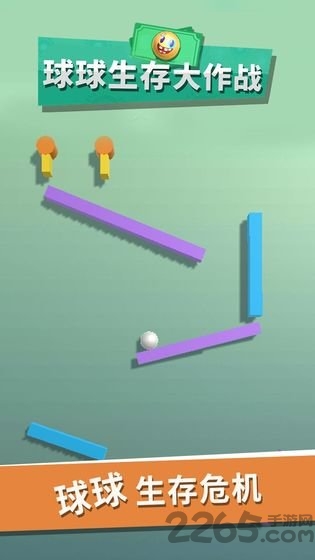 球球生存大作战正式版