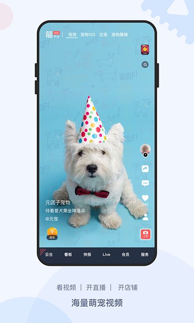 龙平台运营服务中心客户端(龙平台影视)