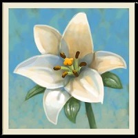 御花园手机游戏 v2.20