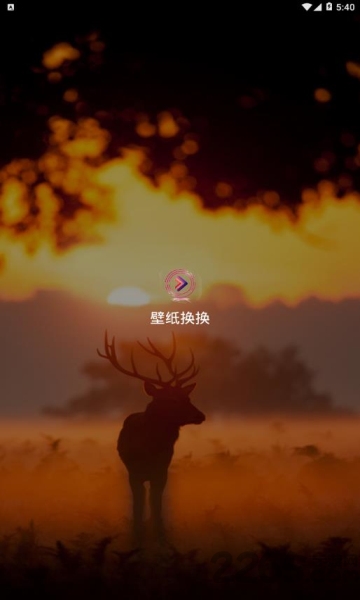 壁纸换换app