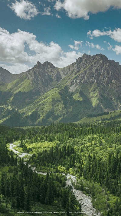 河北森林督查app