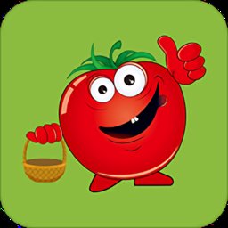 叮咚菜篮手机版