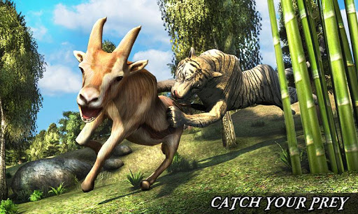 超级老虎模拟2017游戏