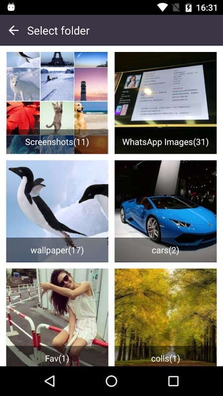 隐私保护大师软件下载