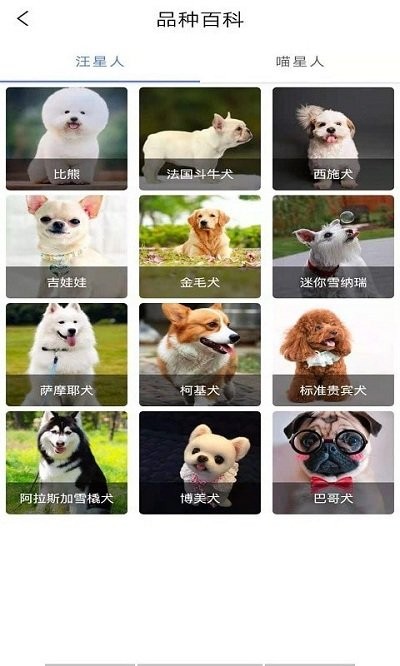 随身动物园app