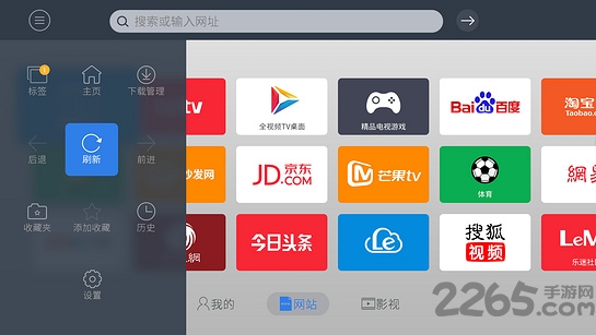 飞视浏览器TV版