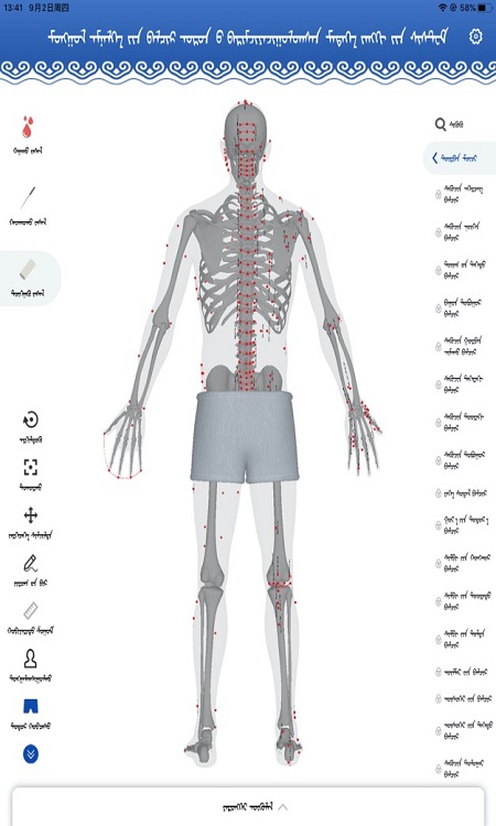 蒙医穴位标准化信息系统app