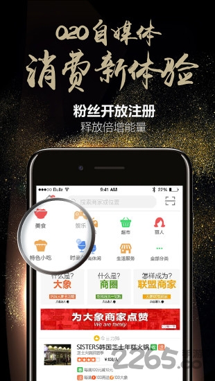 蚂蚁大象手机版