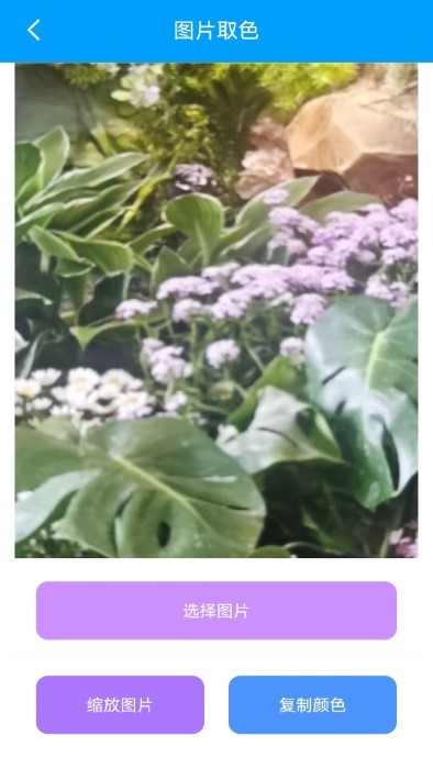 栋剧工具箱最新版下载