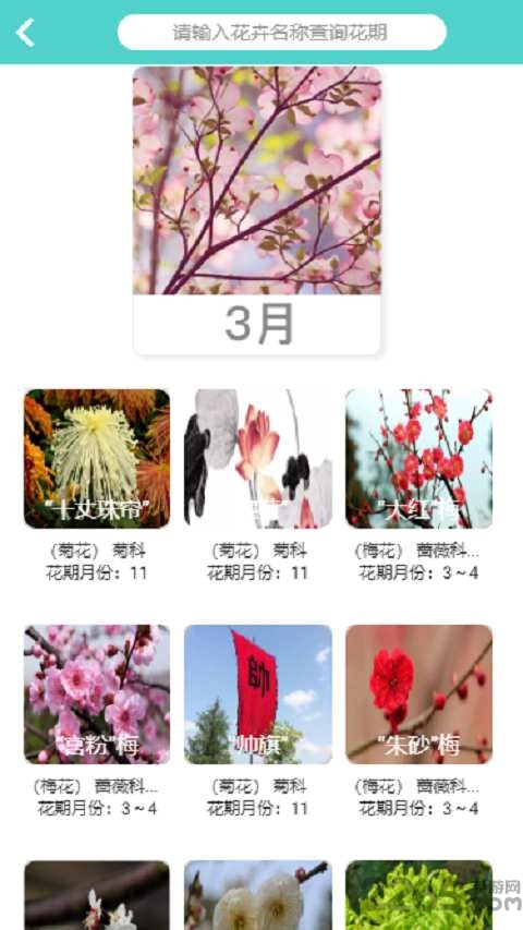 植物科普最新版