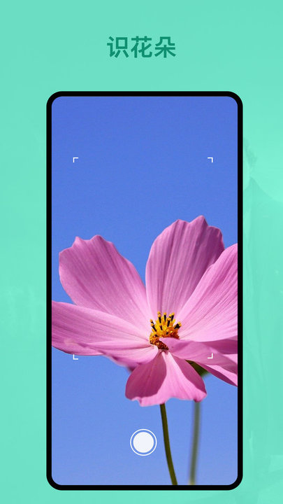 识植物app 识植物手机版下载