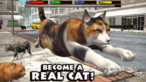 终极猫咪模拟器中文破解版