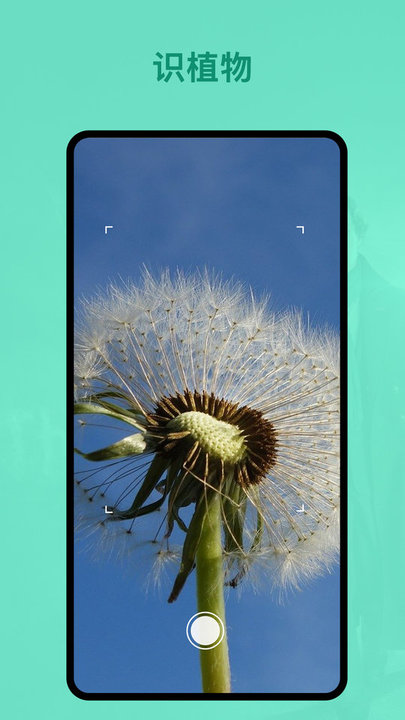 识植物软件