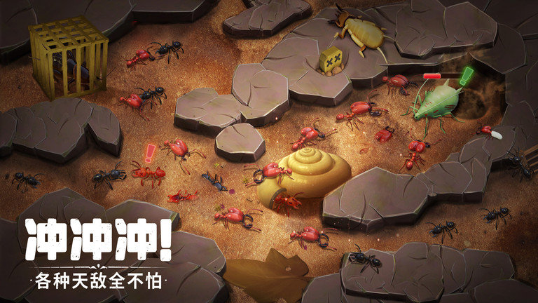 蚁族崛起国际服