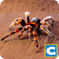 终极蜘蛛模拟器中文破解版