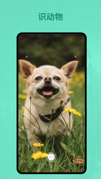 识植物软件