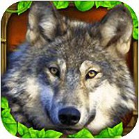 终极狼模拟器无限经验版