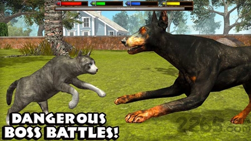 终极猫咪模拟器中文破解版