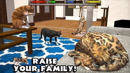 终极猫模拟器中文破解版