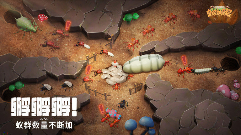 蚁族崛起国际服