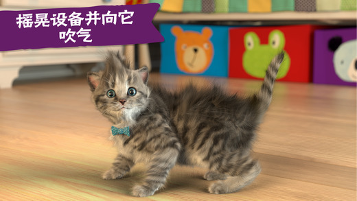 little kitten游戏