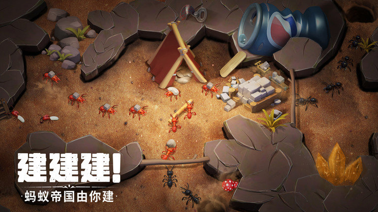 蚁族崛起国际服