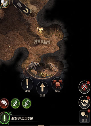 小小蚁国国际服战力提升攻略 小小蚁国国际服战力提升攻略