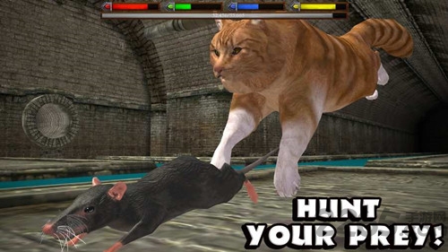 终极猫咪模拟器中文破解版