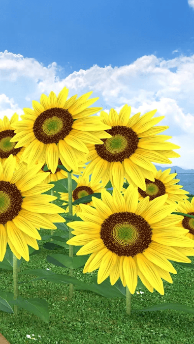 逃脱游戏盂兰盆节游戏(escape game obon)