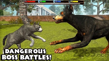 终极猫模拟器中文破解版