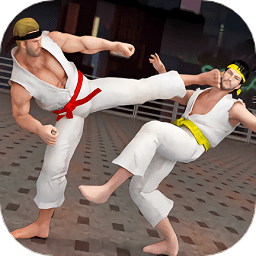 散打武术模拟最新版