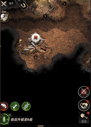 小小蚁国国际服战力提升攻略 小小蚁国国际服战力提升攻略