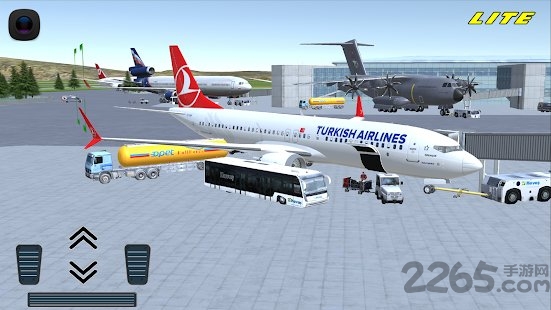 flight737maximum游戏