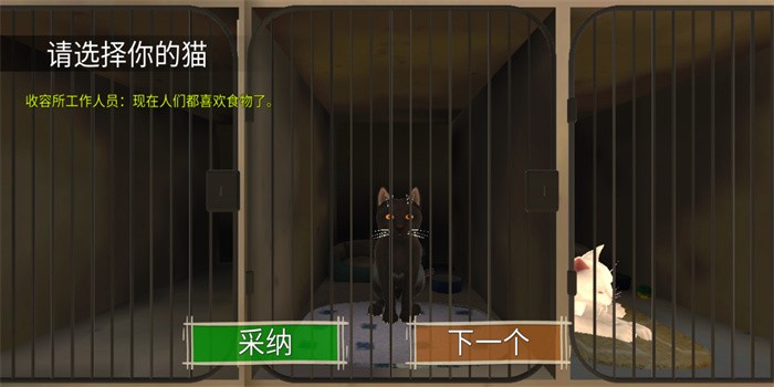 顽皮猫生活模拟器游戏 顽皮猫生活模拟最新版