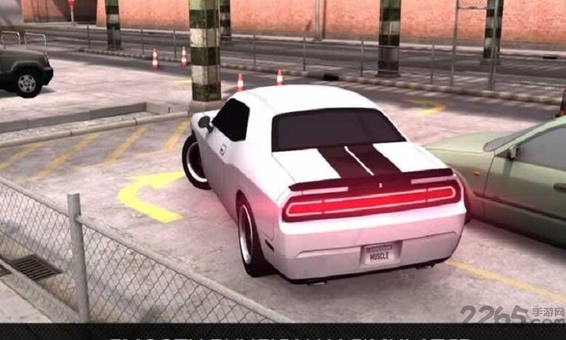 瓦利停车中文版